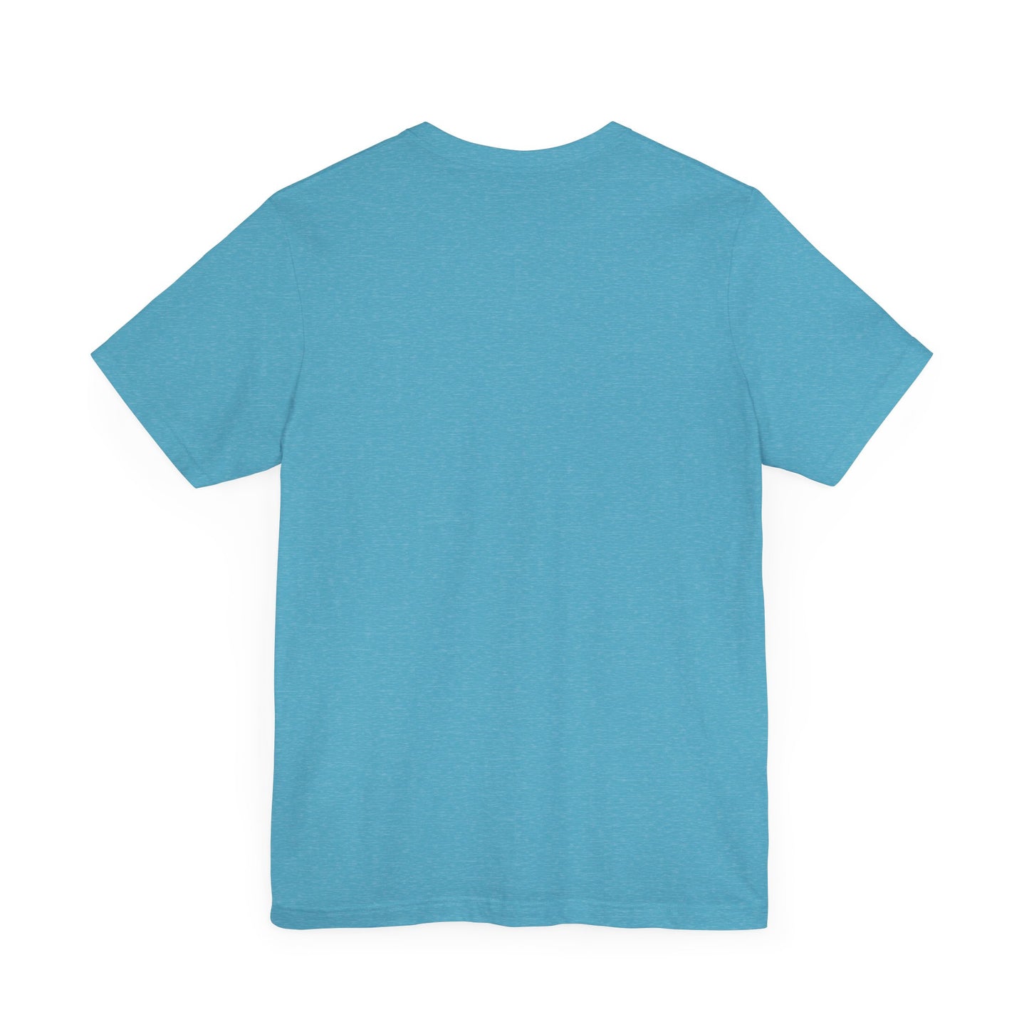 Carroll Academy Rebels Unisex T-shirt